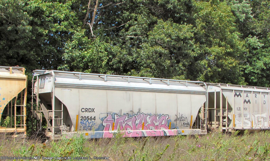 CRDX 20564